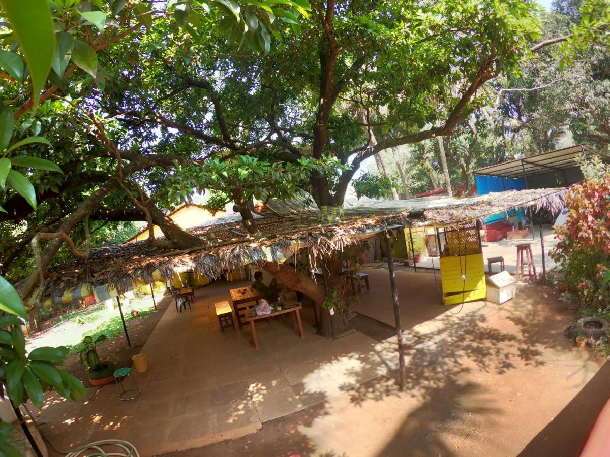 Gaia Hostels أنجونا المظهر الخارجي الصورة