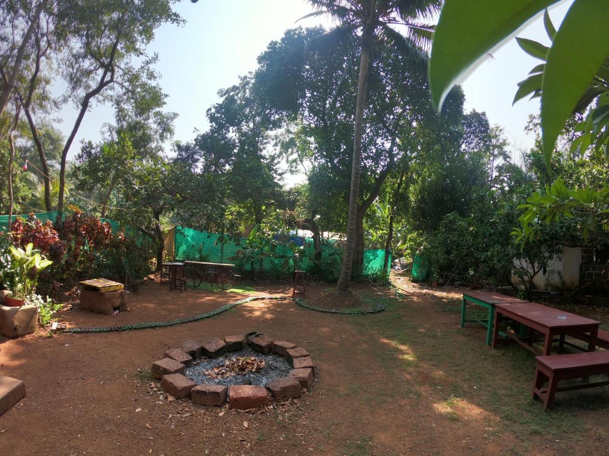 Gaia Hostels أنجونا المظهر الخارجي الصورة