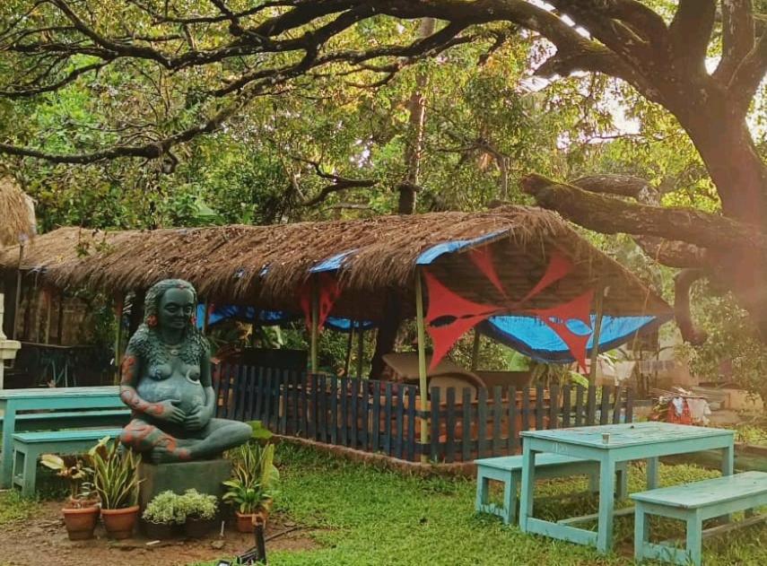 Gaia Hostels أنجونا المظهر الخارجي الصورة